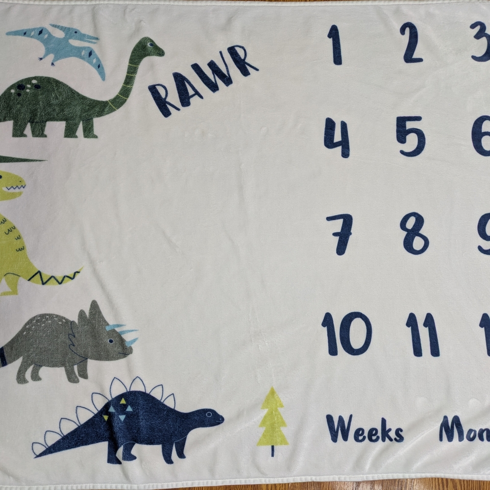 Dinosaur Milestone Blanket